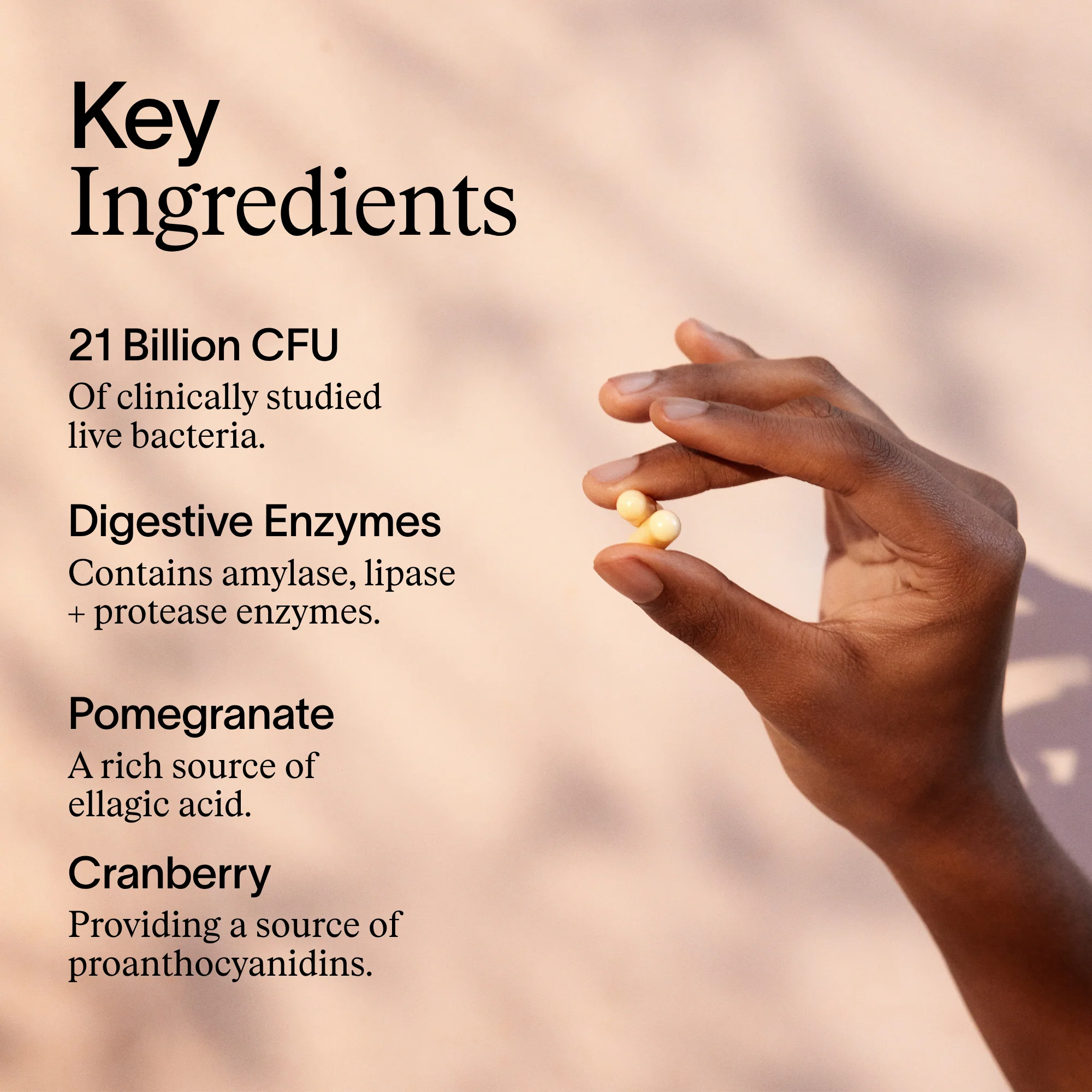 ARTAH Enhanced Synbiotic - Image 3