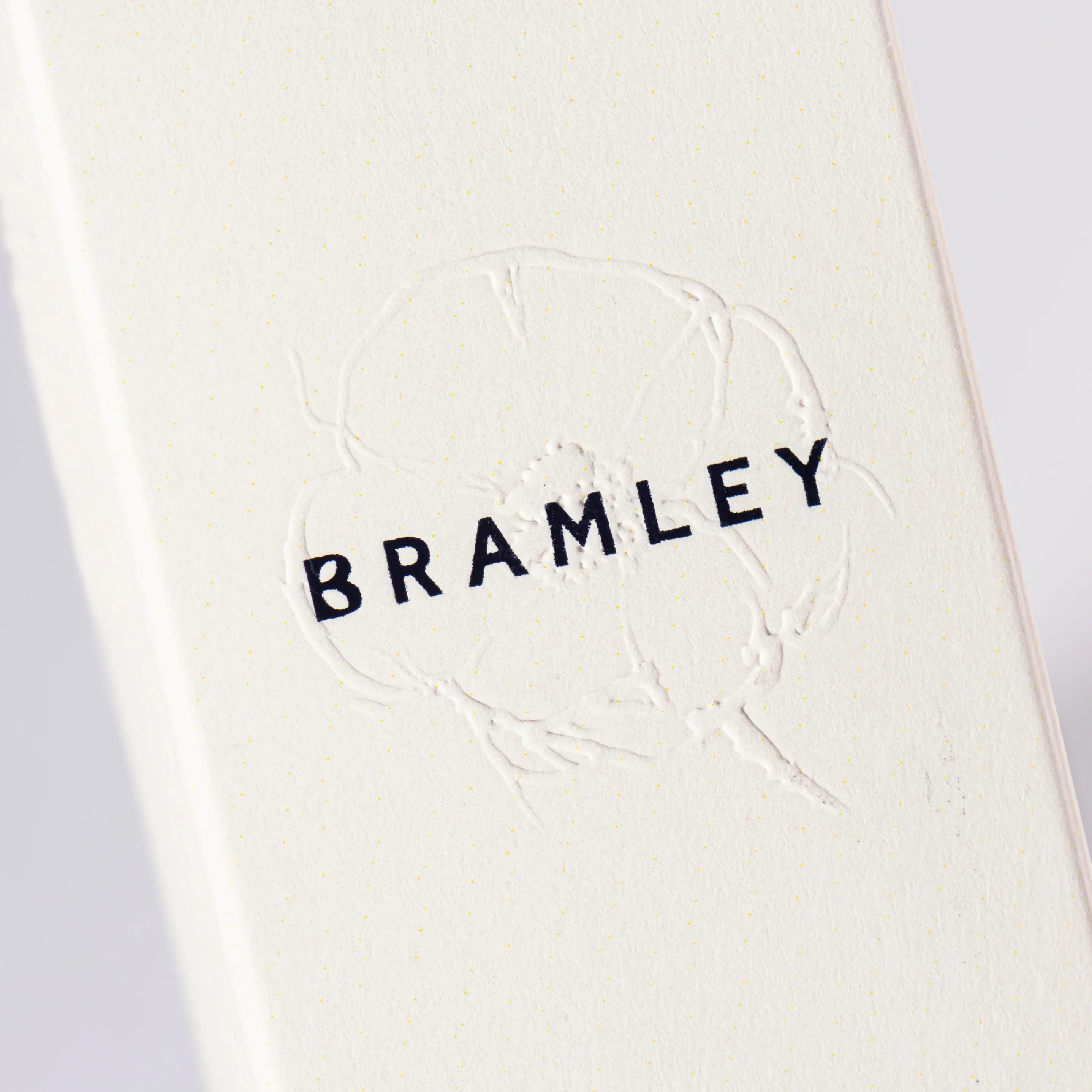 Bramley Kombucha Rest Day Serum - Image 4