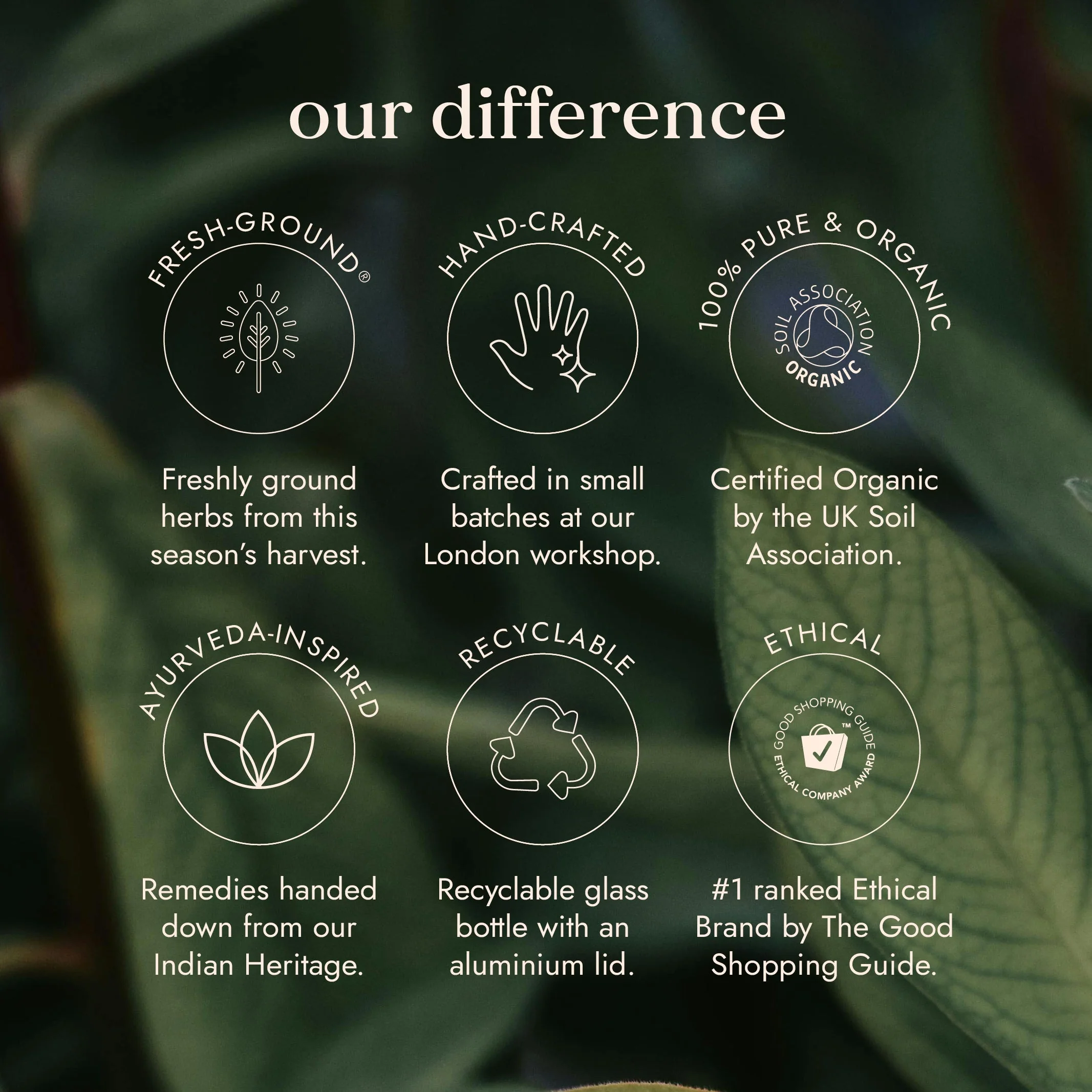 Fushi Organic Brahmi - Image 3