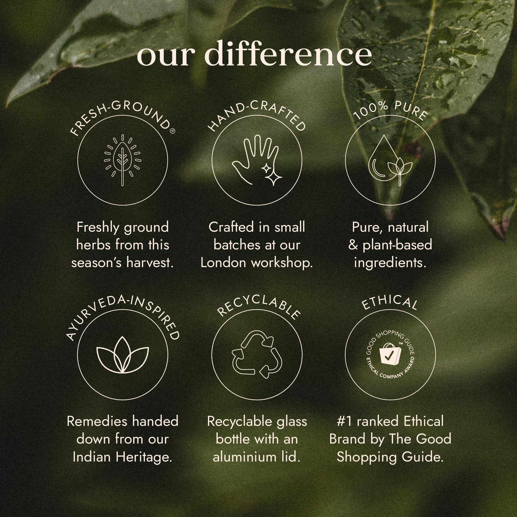 Fushi Organic Tribulus (Gokshura) - Image 2