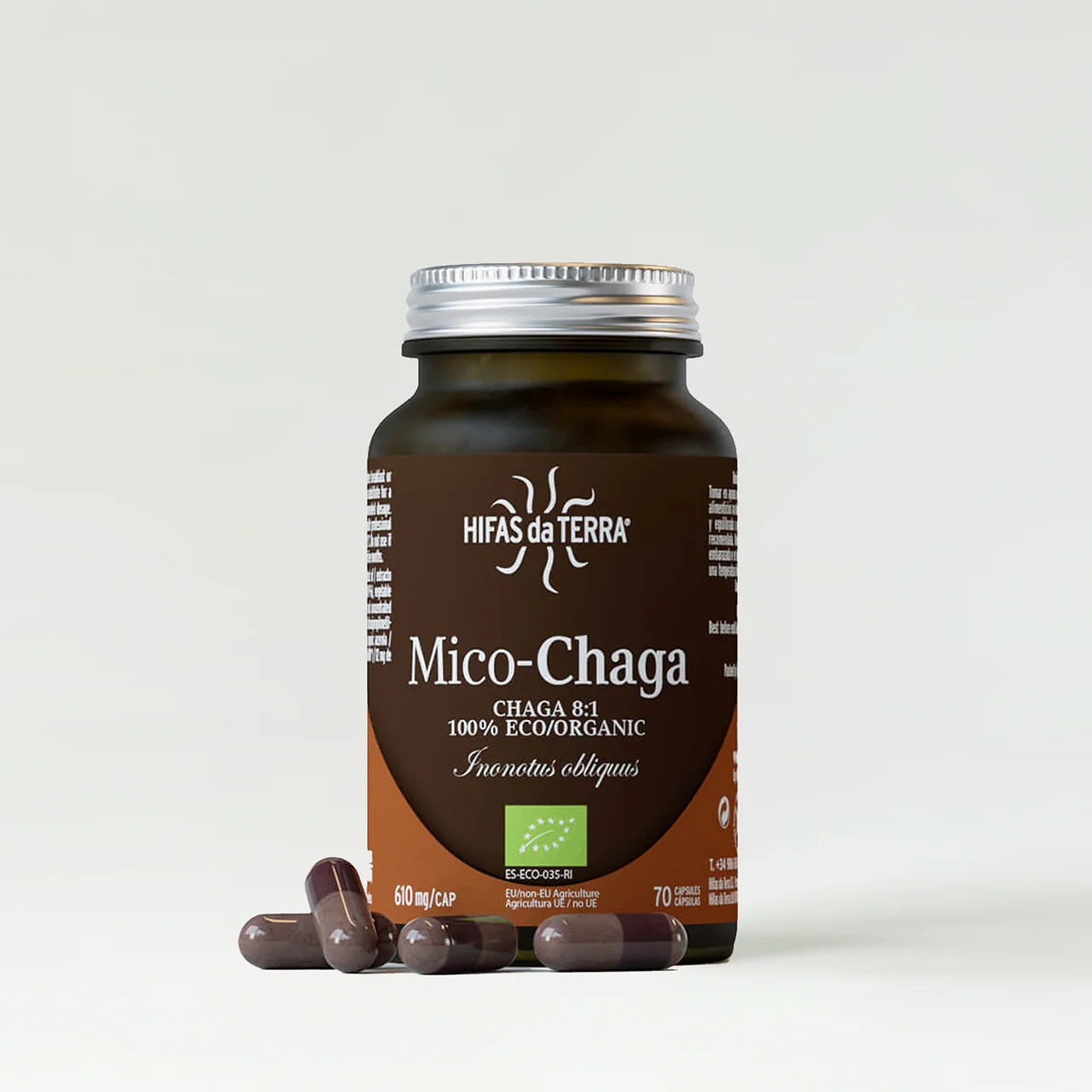 Hifas da Terra Mico-Chaga