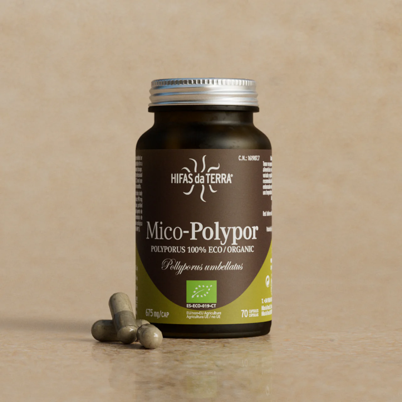Hifas da Terra Mico-Polypor - Image 2