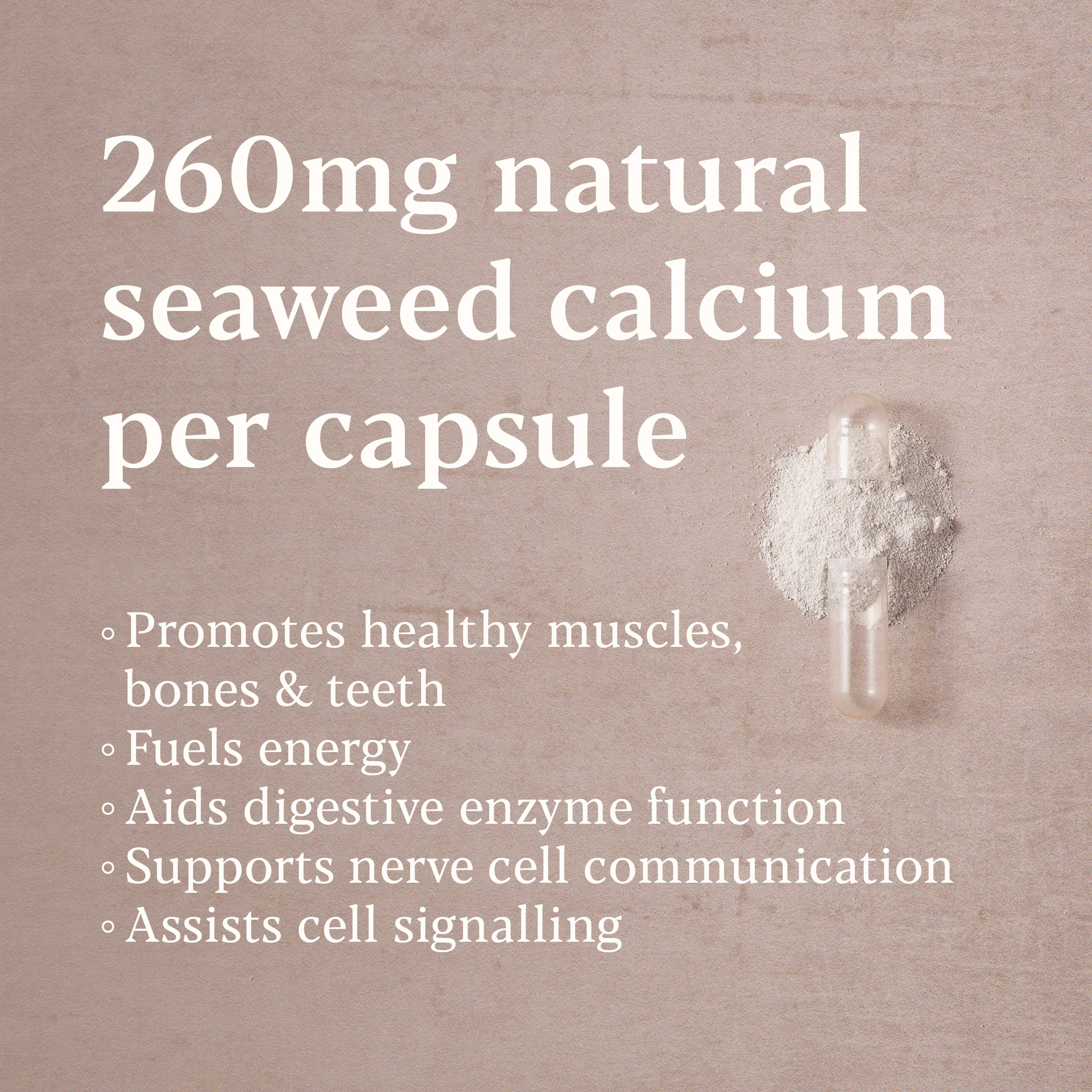Higher Nature True Food® Icelandic Seaweed Calcium - Image 3