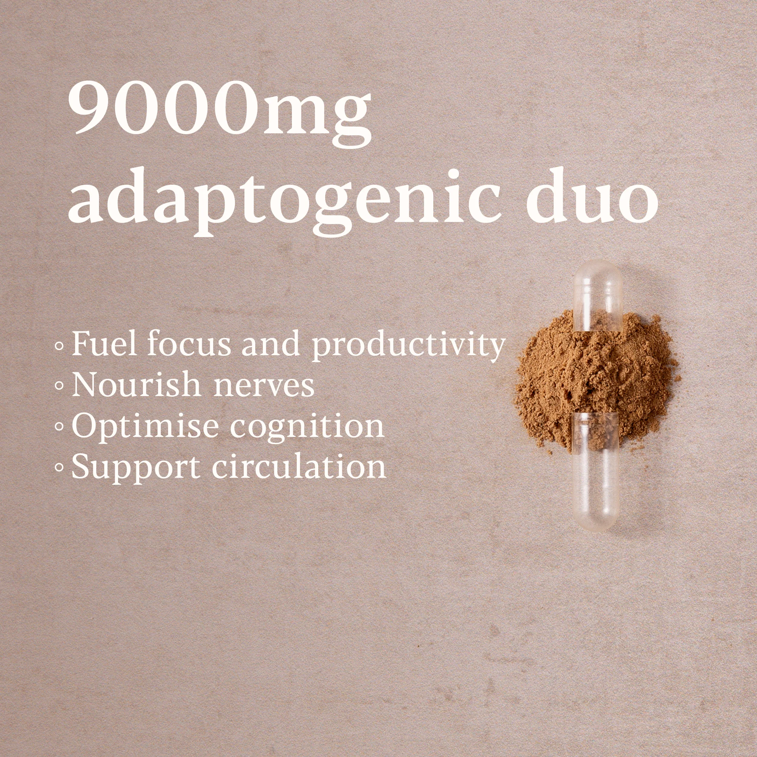 Higher Nature True Food® Lion's Mane & Ginkgo - Image 3