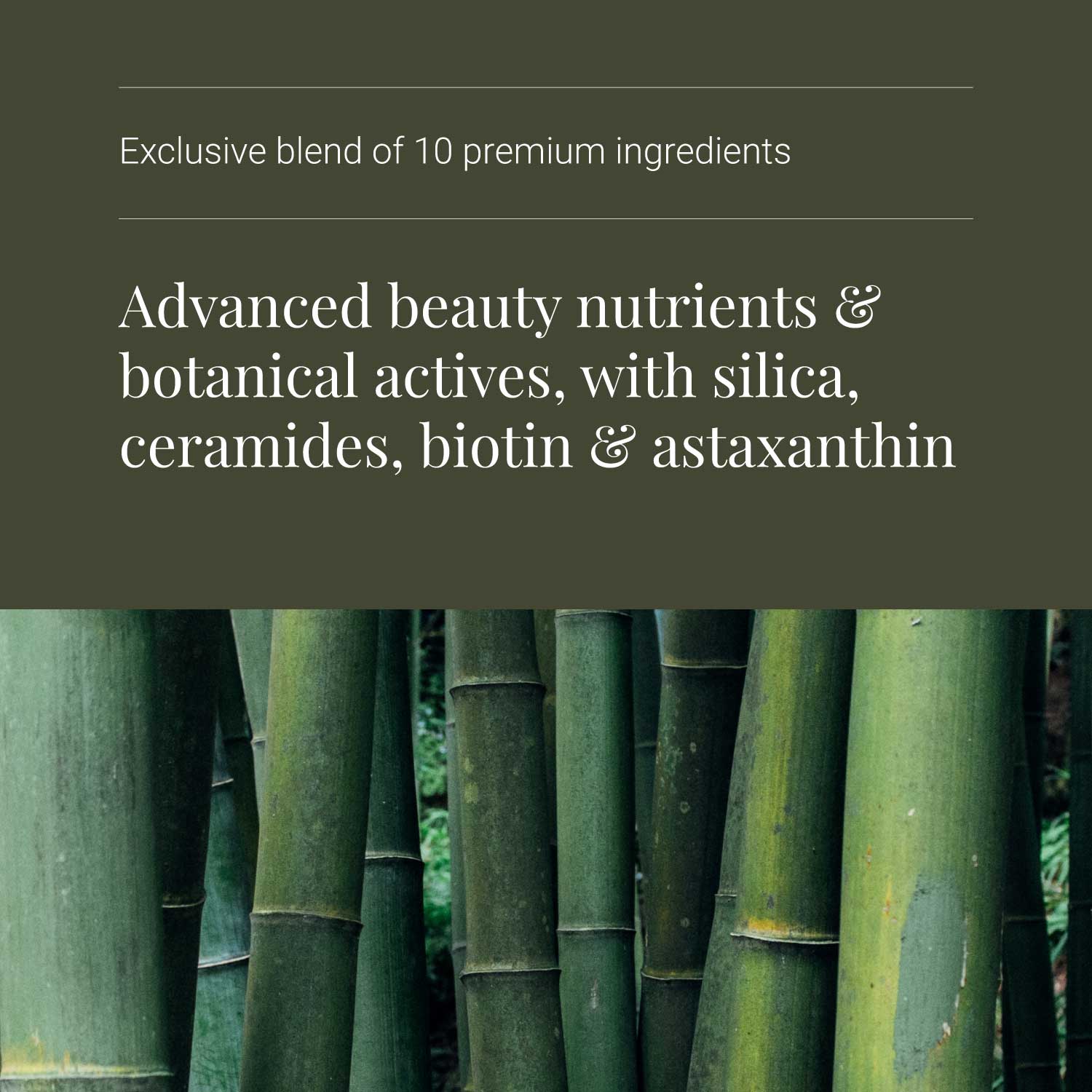 KIKI Health Beauty with Ceramides Vegicaps - Image 4