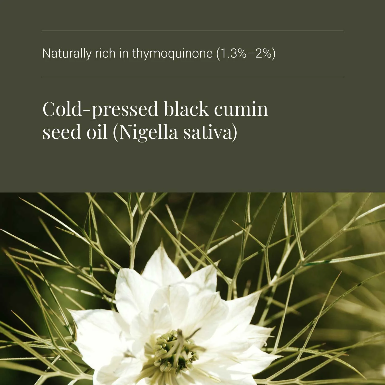 KIKI Health Organic Black Seed Oil - Image 4
