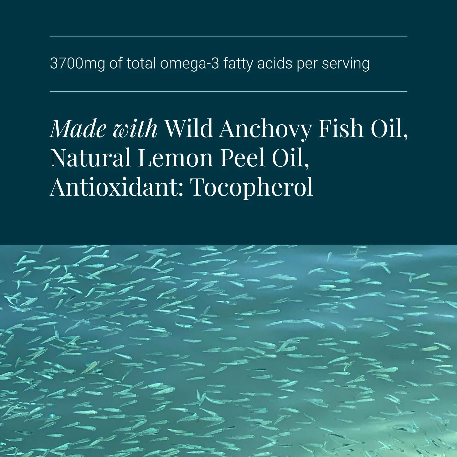 KIKI Health Omega 3 Fish Oil - Image 4