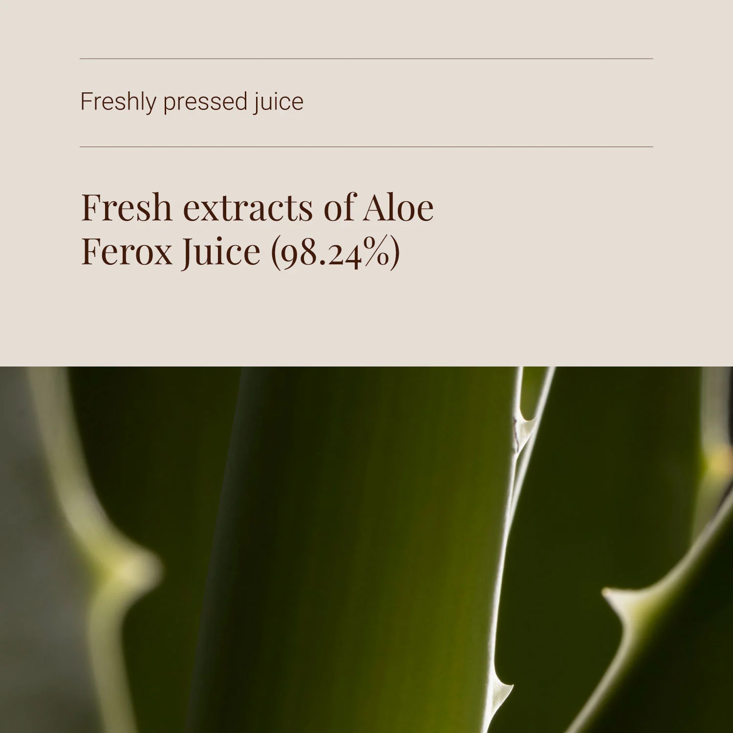 KIKI Health Organic Aloe Ferox Juice - Image 4