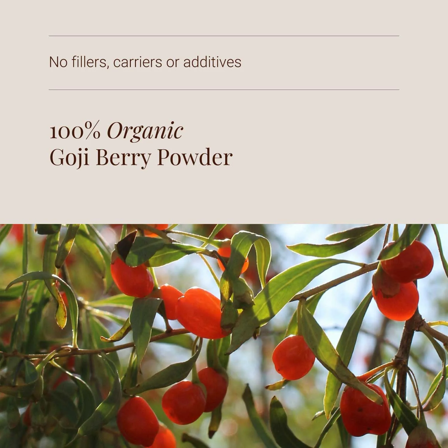 KIKI Health Organic Goji Berry Powder - Image 4