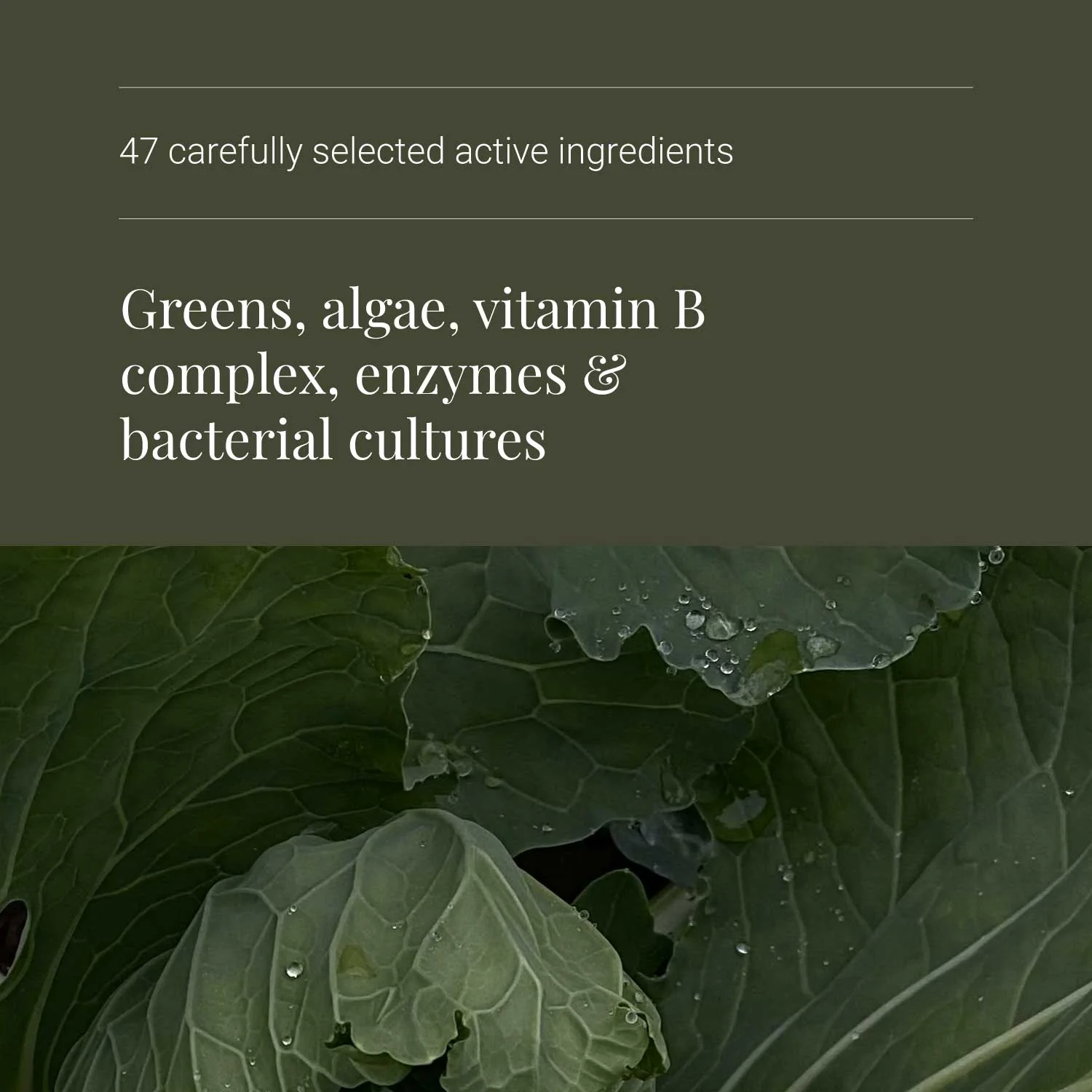 KIKI Health Organic Nature's Living Superfood Powder - Image 6