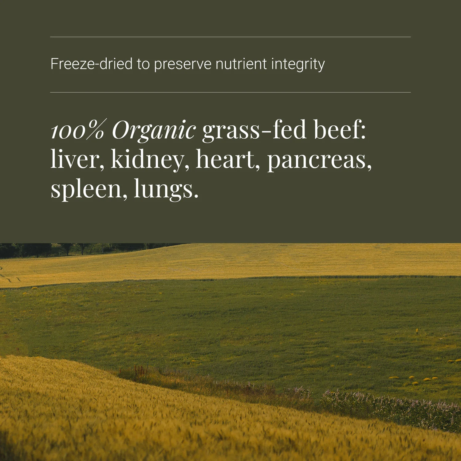 KIKI Health Organic Organ Complex - Image 4