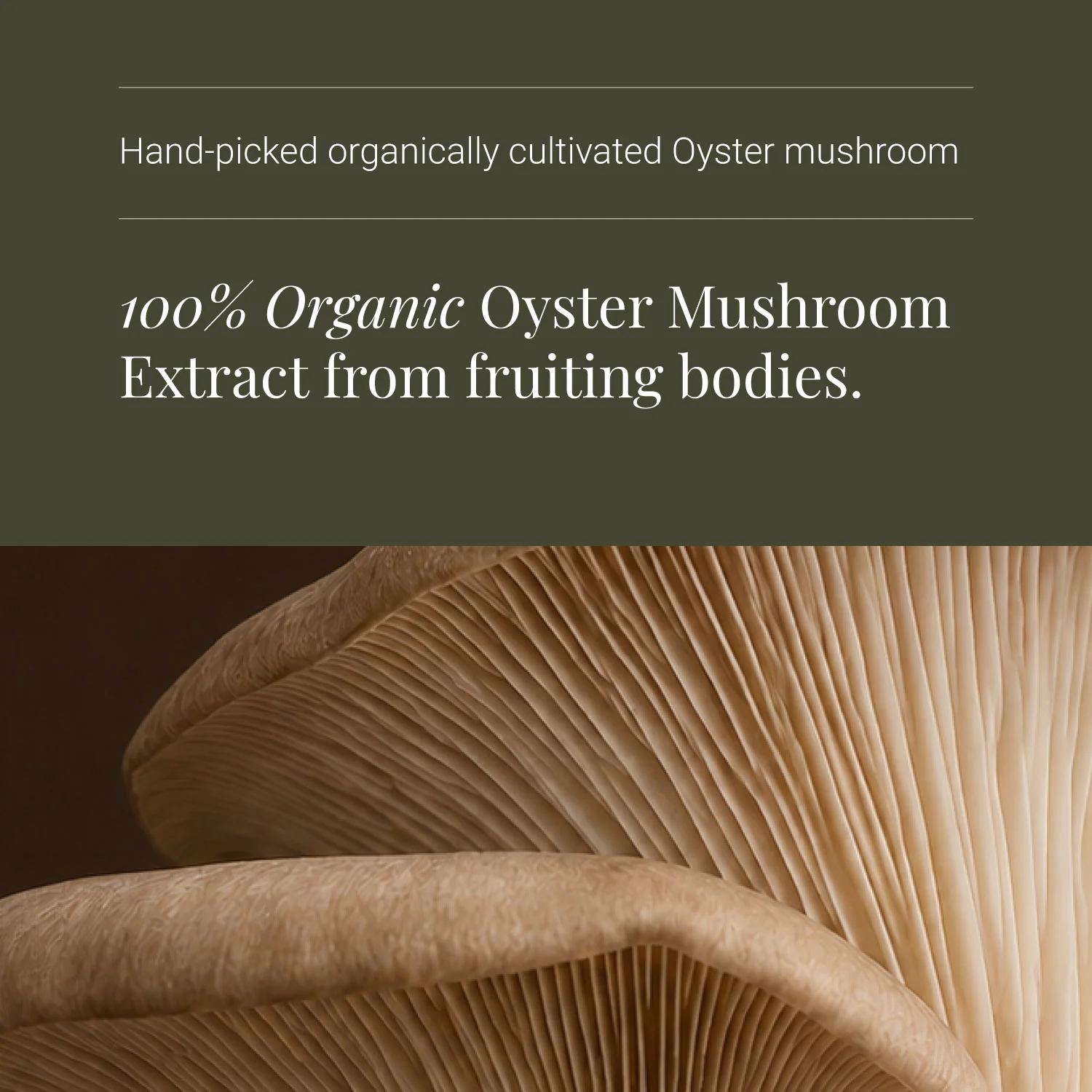 KIKI Health Organic Oyster Vegicaps - Image 4