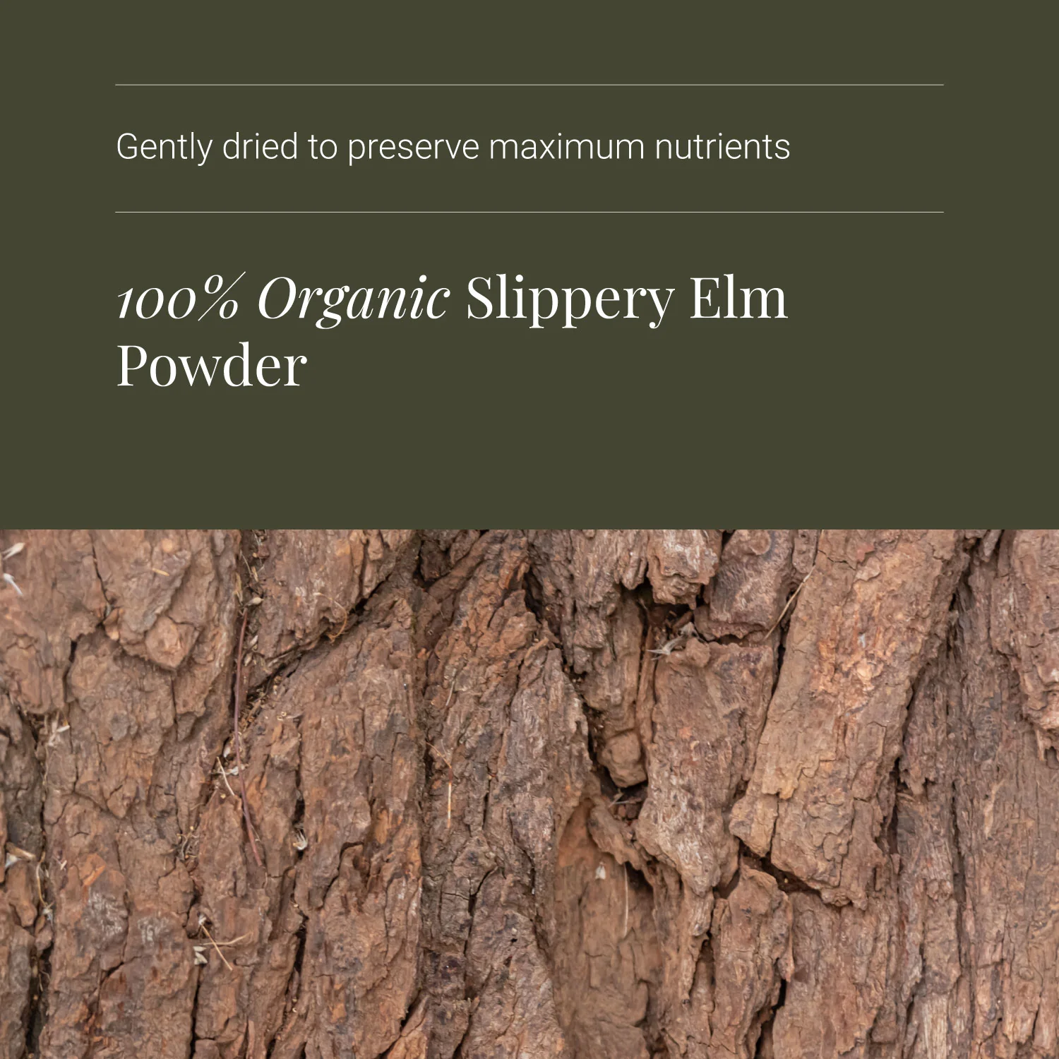 KIKI Health Organic Slippery Elm Vegicaps - Image 4