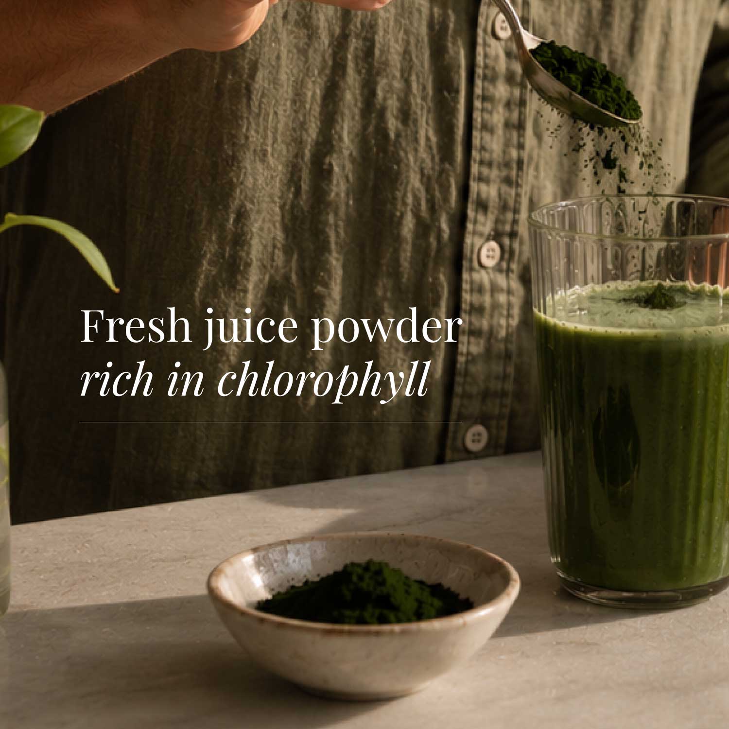 KIKI Health Organic Wheatgrass Juice Powder - Image 5