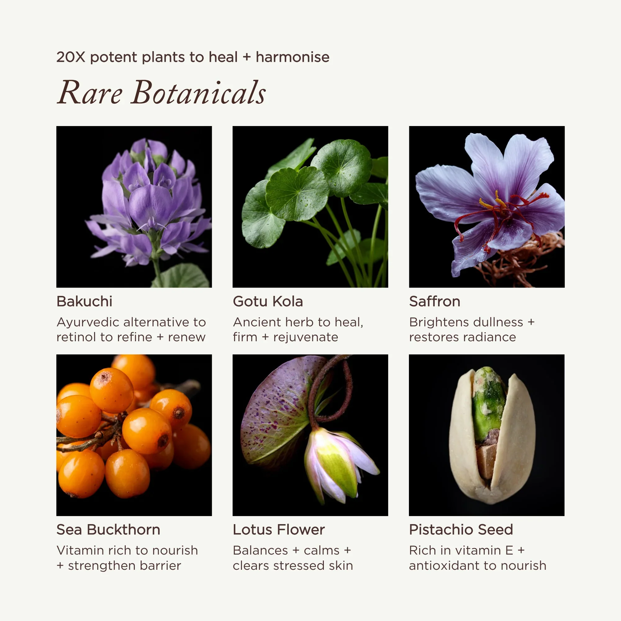 Mauli Rituals Lotus & Bakuchi Skin Harmony Cream - Image 4