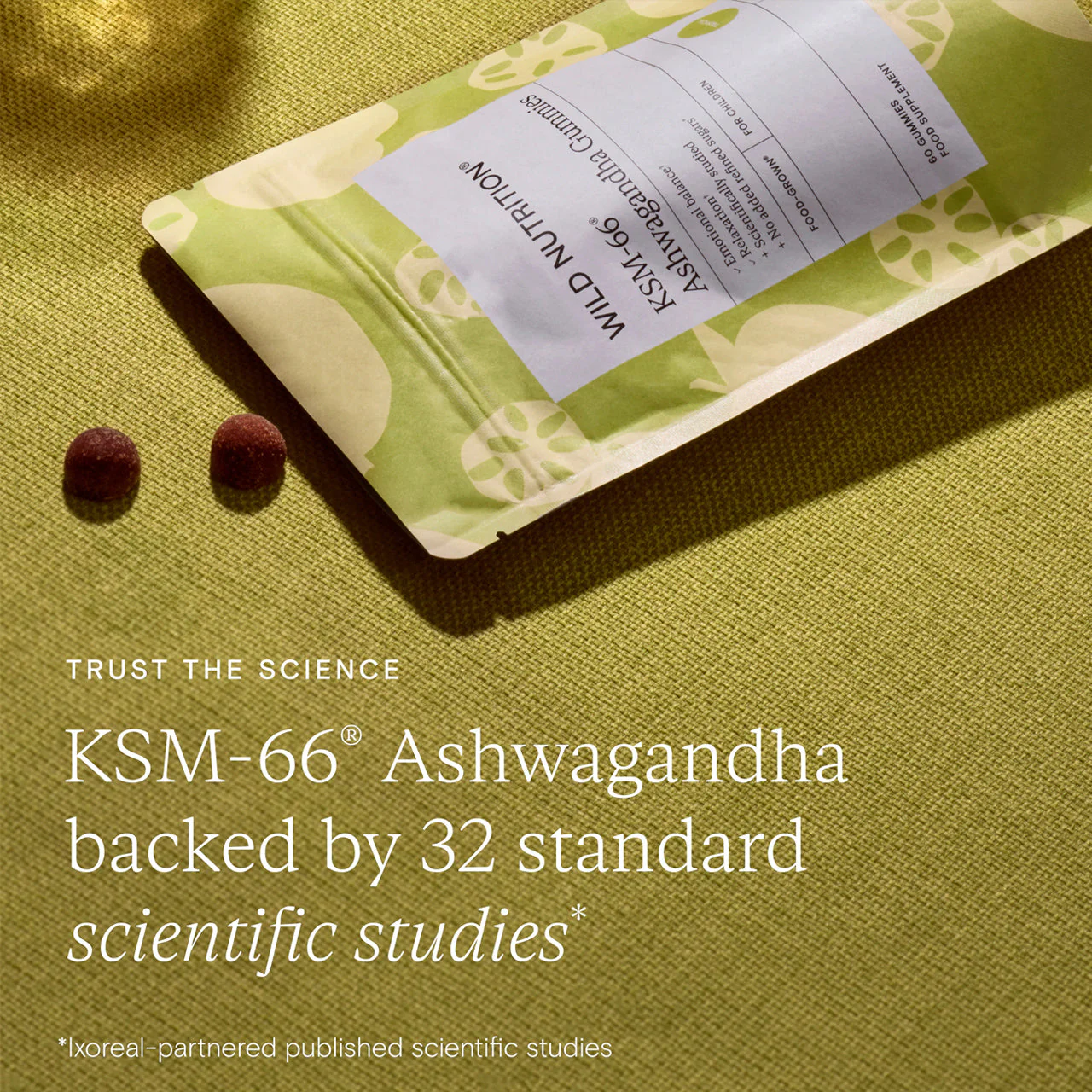 Wild Nutrition Children's KSM-66® Ashwagandha Gummies - Image 4