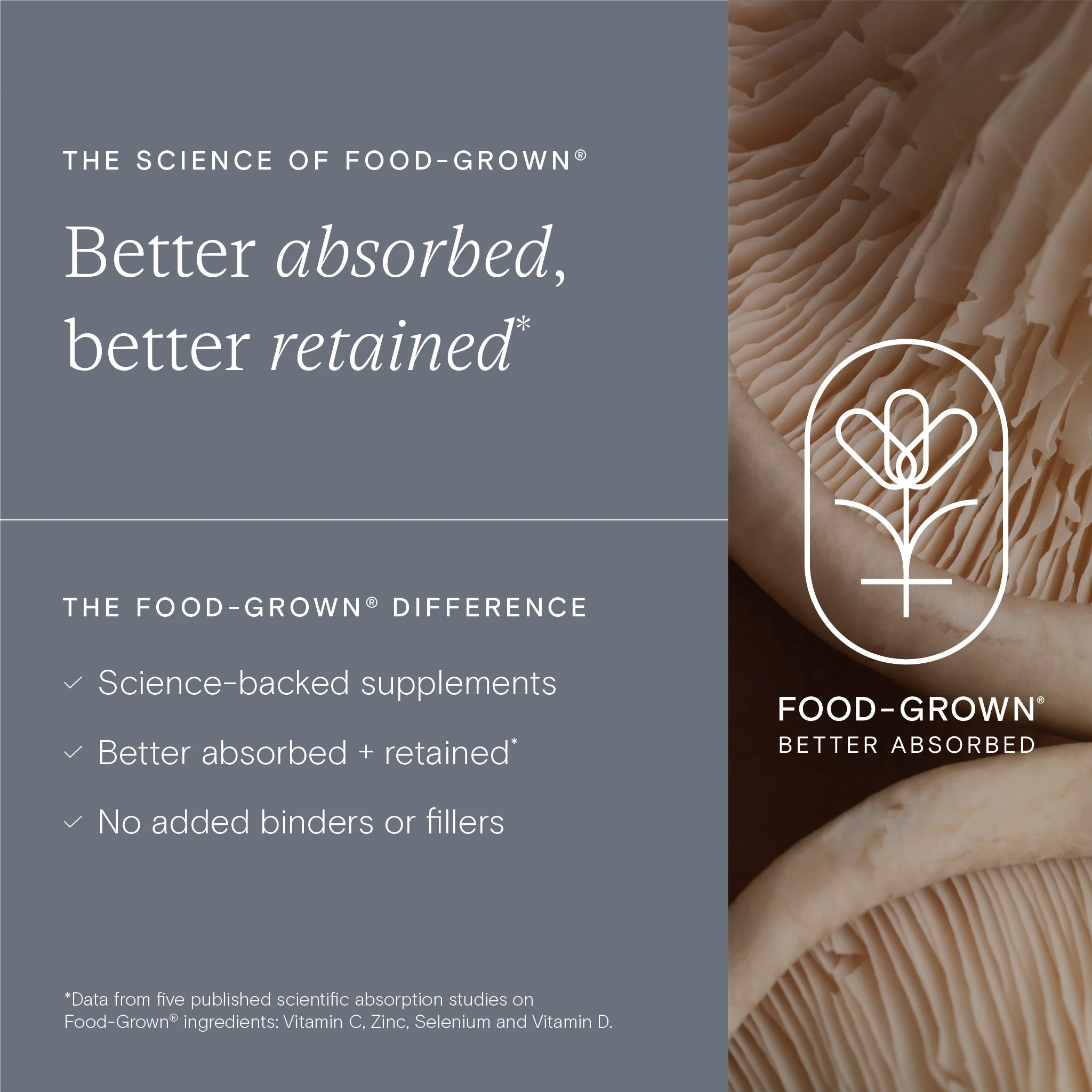 Wild Nutrition Food-Grown® Fertility Support for Men - Image 4