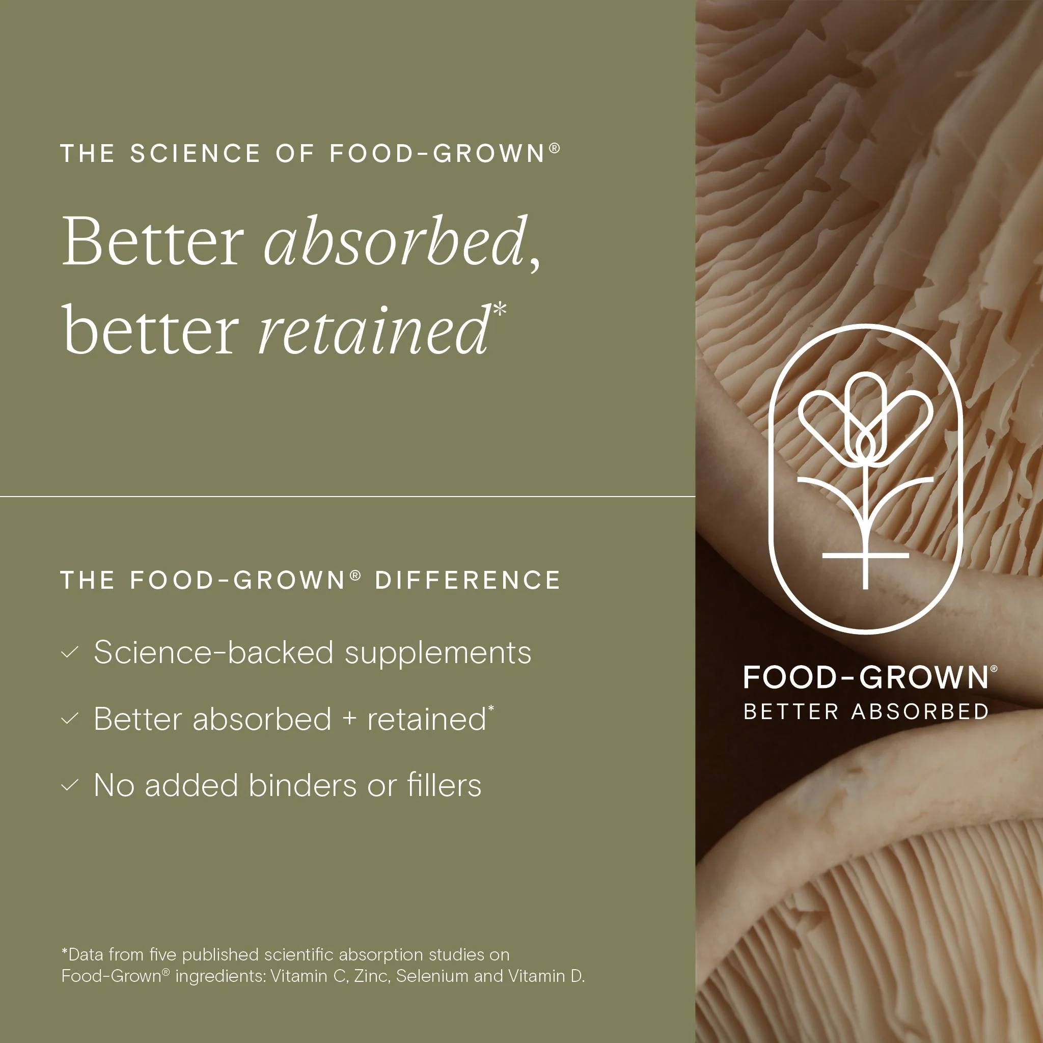 Wild Nutrition Food-Grown® Iron Plus For All - Image 4