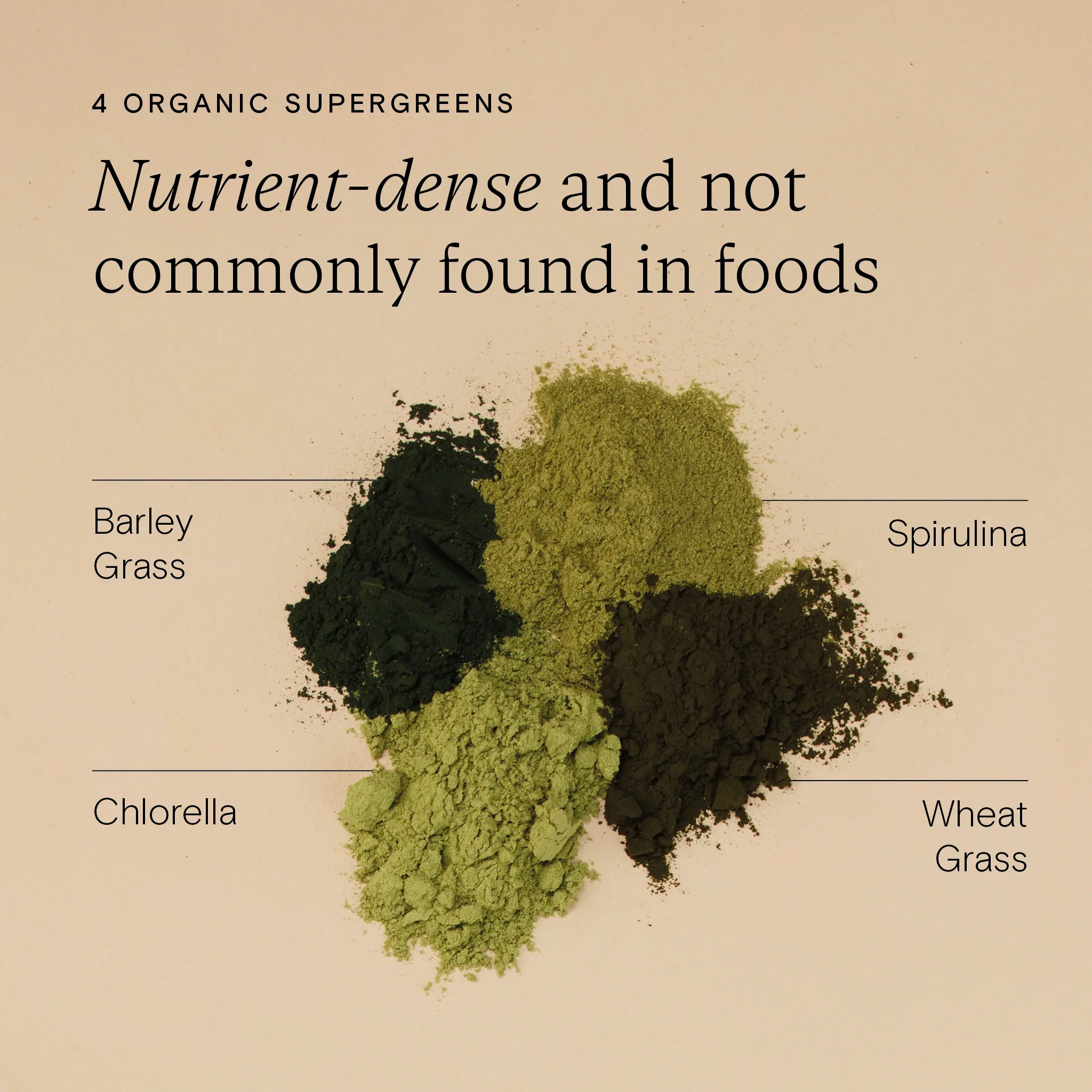 Wild Nutrition Food-Grown® Organic Protein + Superfood Powder - Image 4