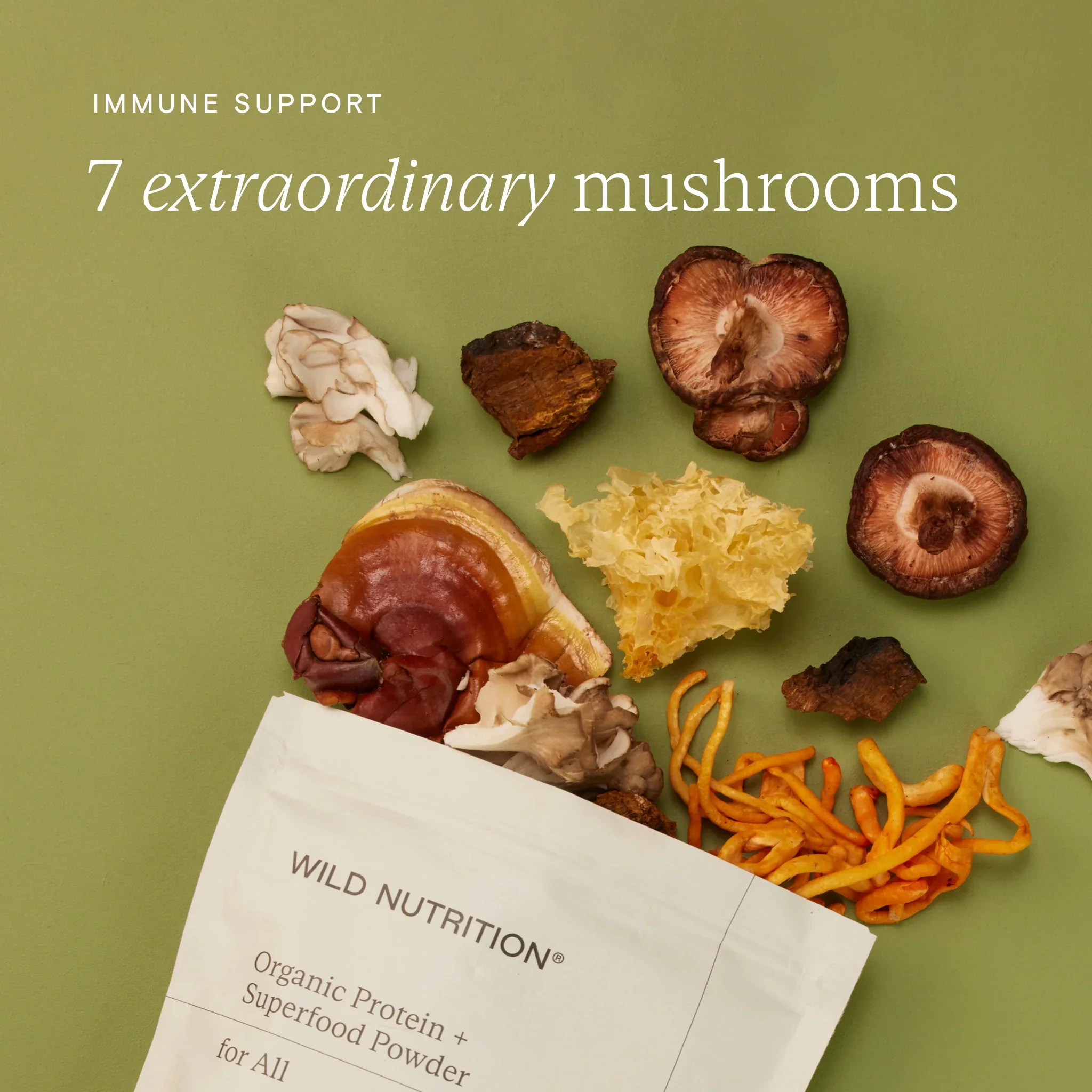 Wild Nutrition Food-Grown® Organic Protein + Superfood Powder - Image 6
