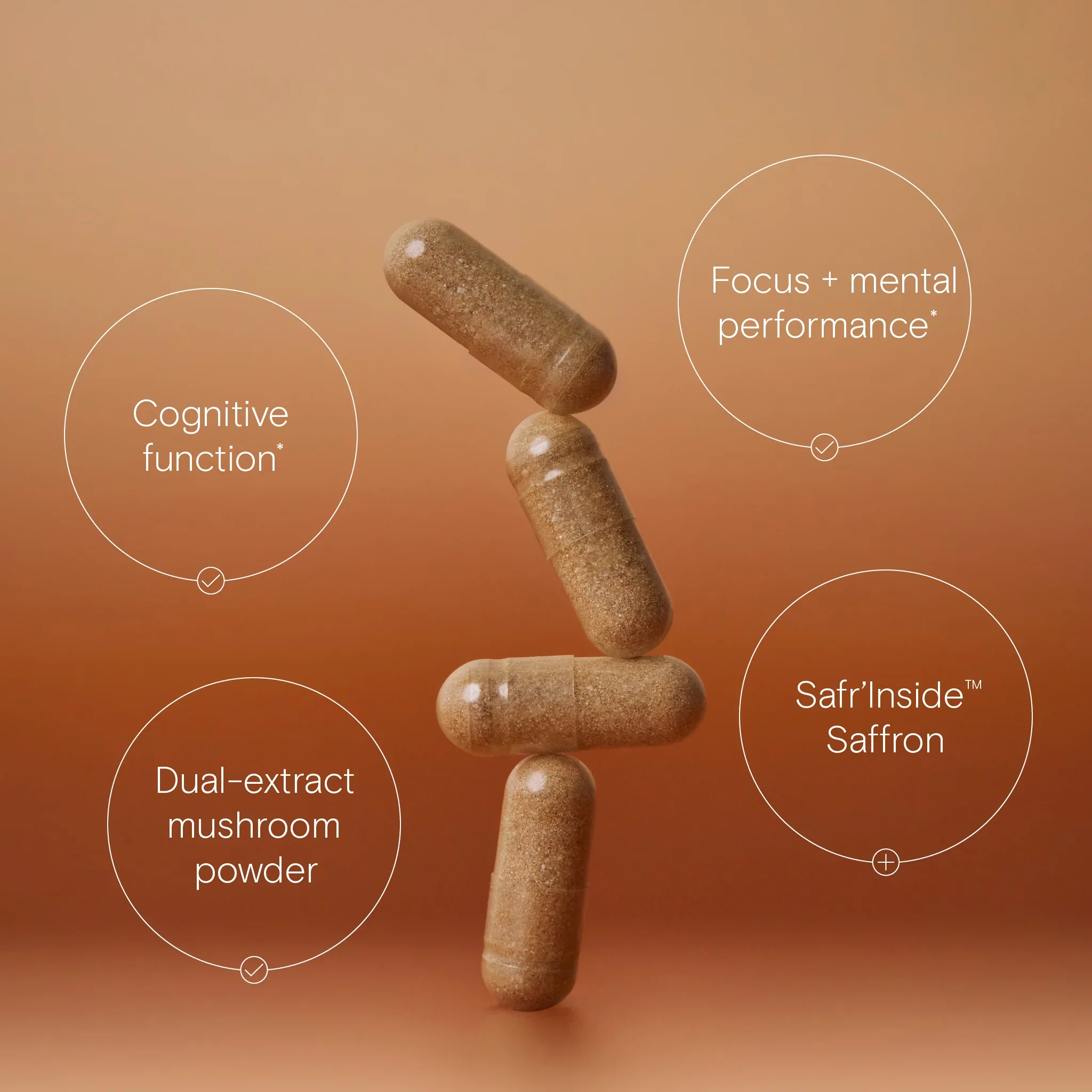 Wild Nutrition Lion's Mane Plus - Image 3