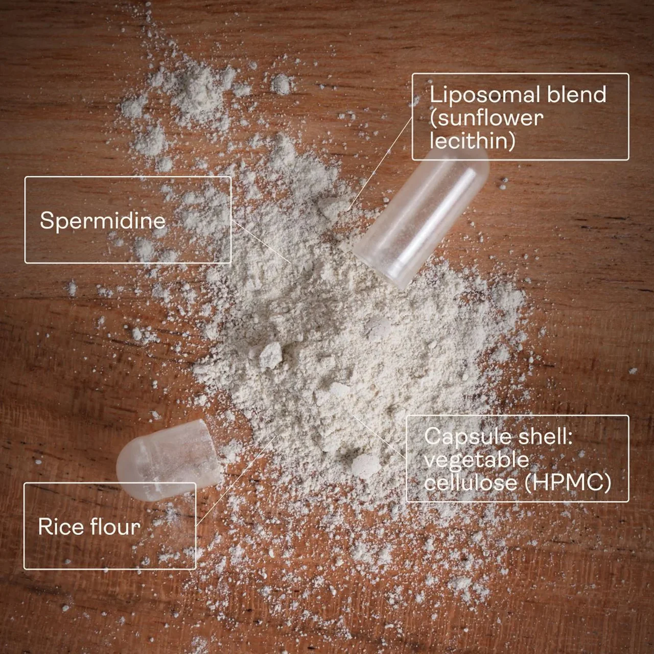 Youth & Earth Liposomal Spermidine - Image 3